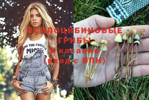 2c-b Алзамай