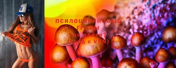 стафф Алексеевка