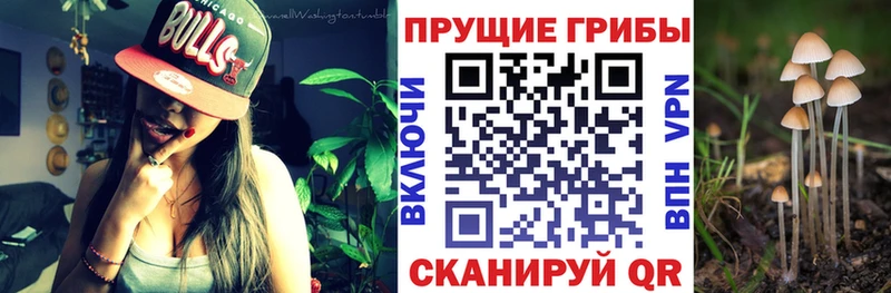 мориарти формула купить закладку Андреаполь Псилоцибиновые грибы прущие грибы